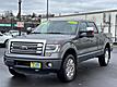 2013 Ford F-150 Platinum