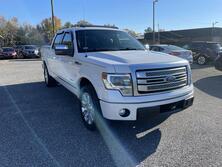 Ford F-150 Platinum SuperCrew 5.5-ft. Bed 2WD 2013