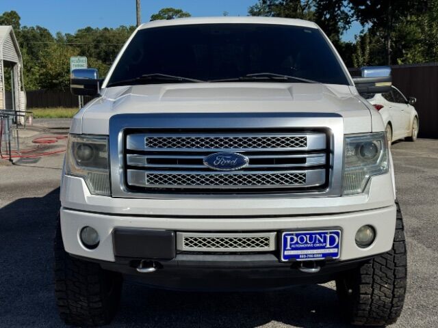 2013 Ford F-150 Platinum SuperCrew 5.5-ft. Bed 4WD Gaston SC