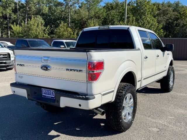 2013 Ford F-150 Platinum SuperCrew 5.5-ft. Bed 4WD Gaston SC