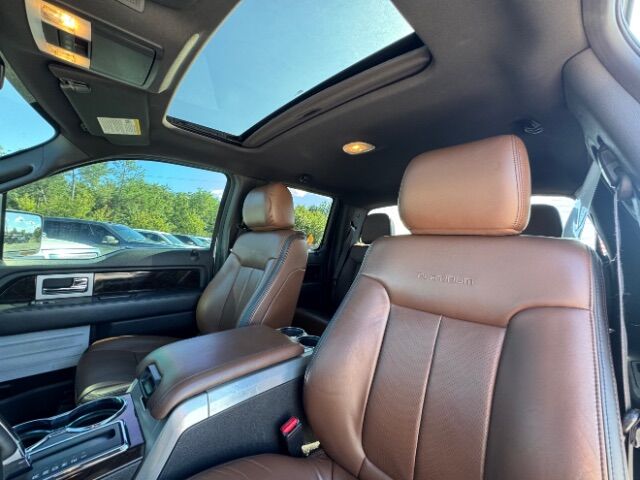 2013 Ford F-150 Platinum SuperCrew 5.5-ft. Bed 4WD Gaston SC