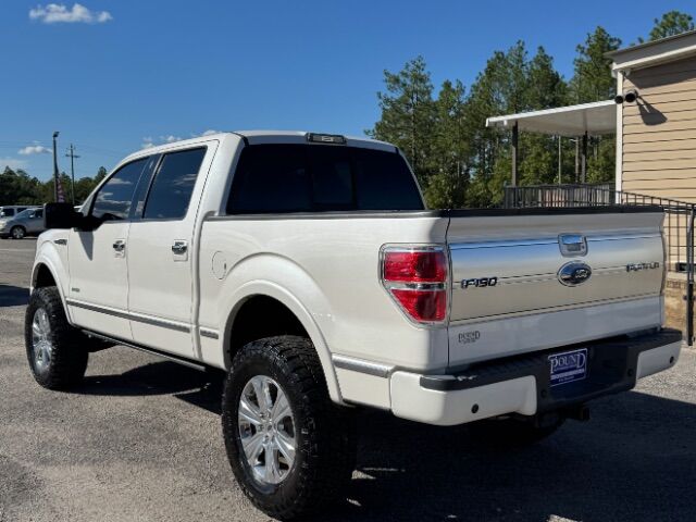 2013 Ford F-150 Platinum SuperCrew 5.5-ft. Bed 4WD Gaston SC