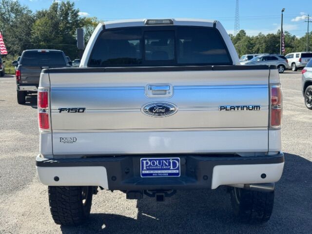 2013 Ford F-150 Platinum SuperCrew 5.5-ft. Bed 4WD Gaston SC