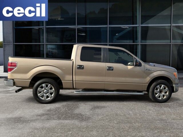 2013 Ford F-150 XLT  TX