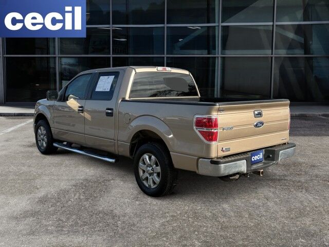2013 Ford F-150 XLT  TX