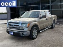 2013_Ford_F-150_XLT_  TX