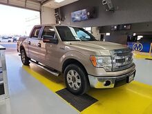 2013_Ford_F-150_XLT_  TX
