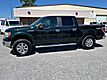 2013 Ford F-150 XLT SuperCrew 4x4