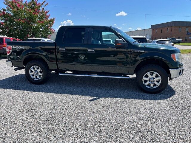 2013 Ford F-150 XLT SuperCrew 4x4 Ashland VA