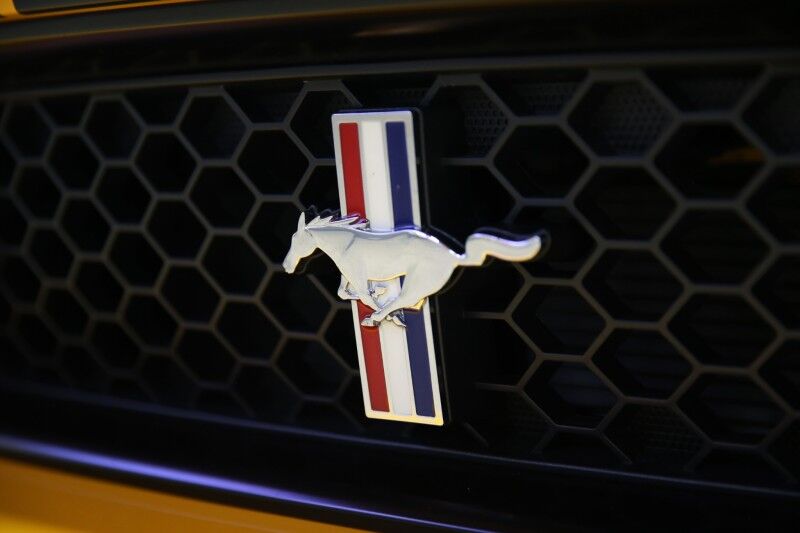2013 Ford Mustang Boss 302 Plainview NY