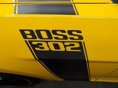 2013 Ford Mustang Boss 302 RWD Fond du Lac WI