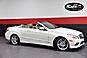 2013 Mercedes-Benz E550 AMG Sport 2dr Convertible Chicago IL