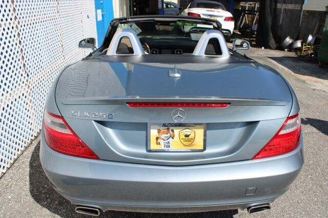 2013 Mercedes-Benz SLK 250 SLK 250 PREMIUM Melbourne FL