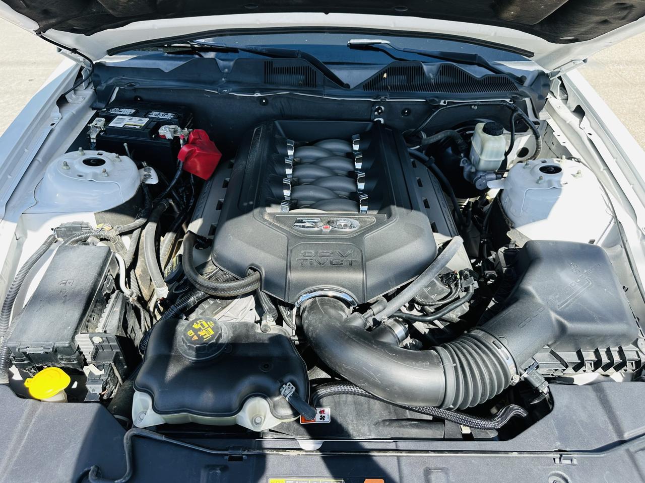 2014 FORD Mustang GT Premium 5.o Dallas TX