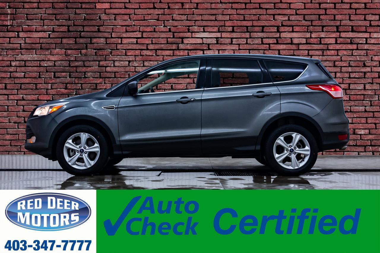 2014 Ford Escape AWD SE BCam