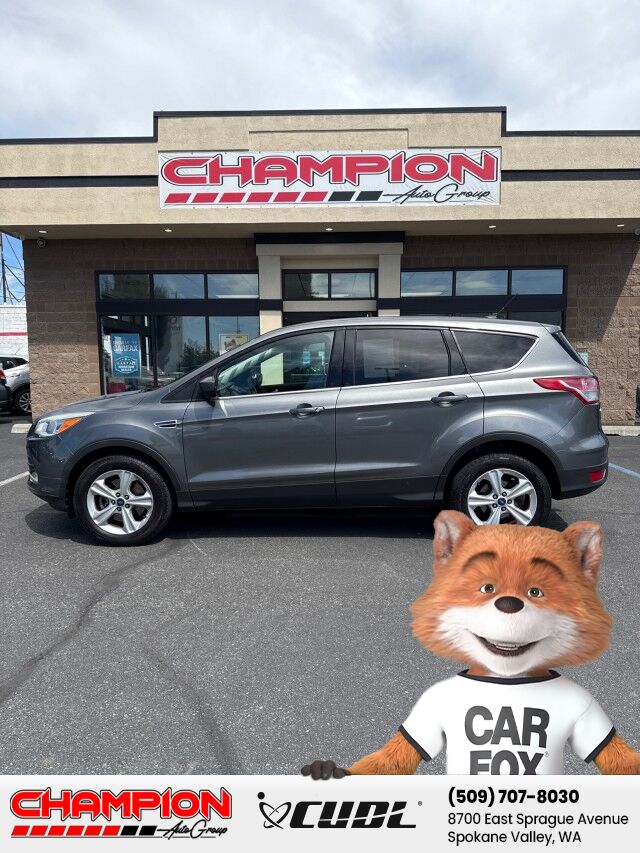 2014 Ford Escape SE