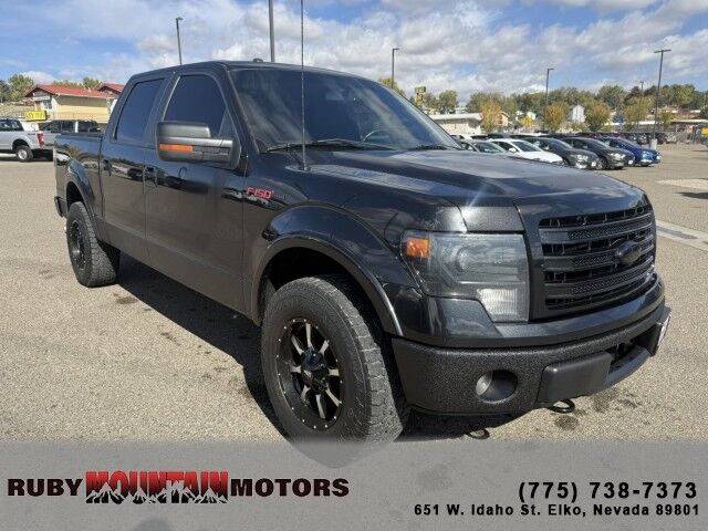 2014 Ford F-150 FX4 Elko NV