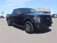 2014 Ford F-150 FX4 Grand Junction CO 2014 Ford F-150 FX4 Grand Junction CO
