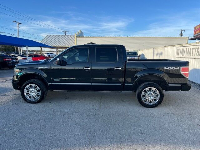 2014 Ford F-150 Platinum Gainesville TX 2014 Ford F-150 Platinum Gainesville TX