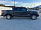 2014 Ford F-150 Platinum Gainesville TX 2014 Ford F-150 Platinum Gainesville TX