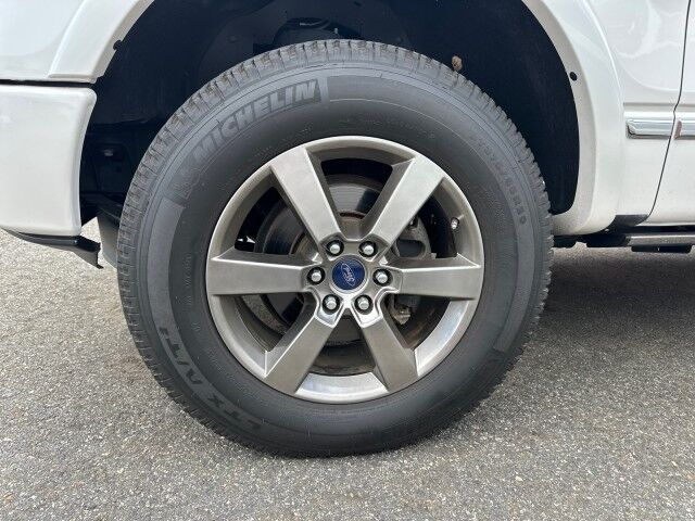 2014 Ford F-150 Platinum Monroe GA