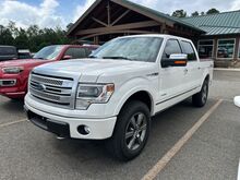 2014_Ford_F-150_Platinum_ Monroe GA