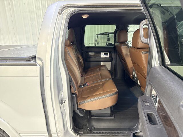 2014 Ford F-150 Platinum San Antonio TX