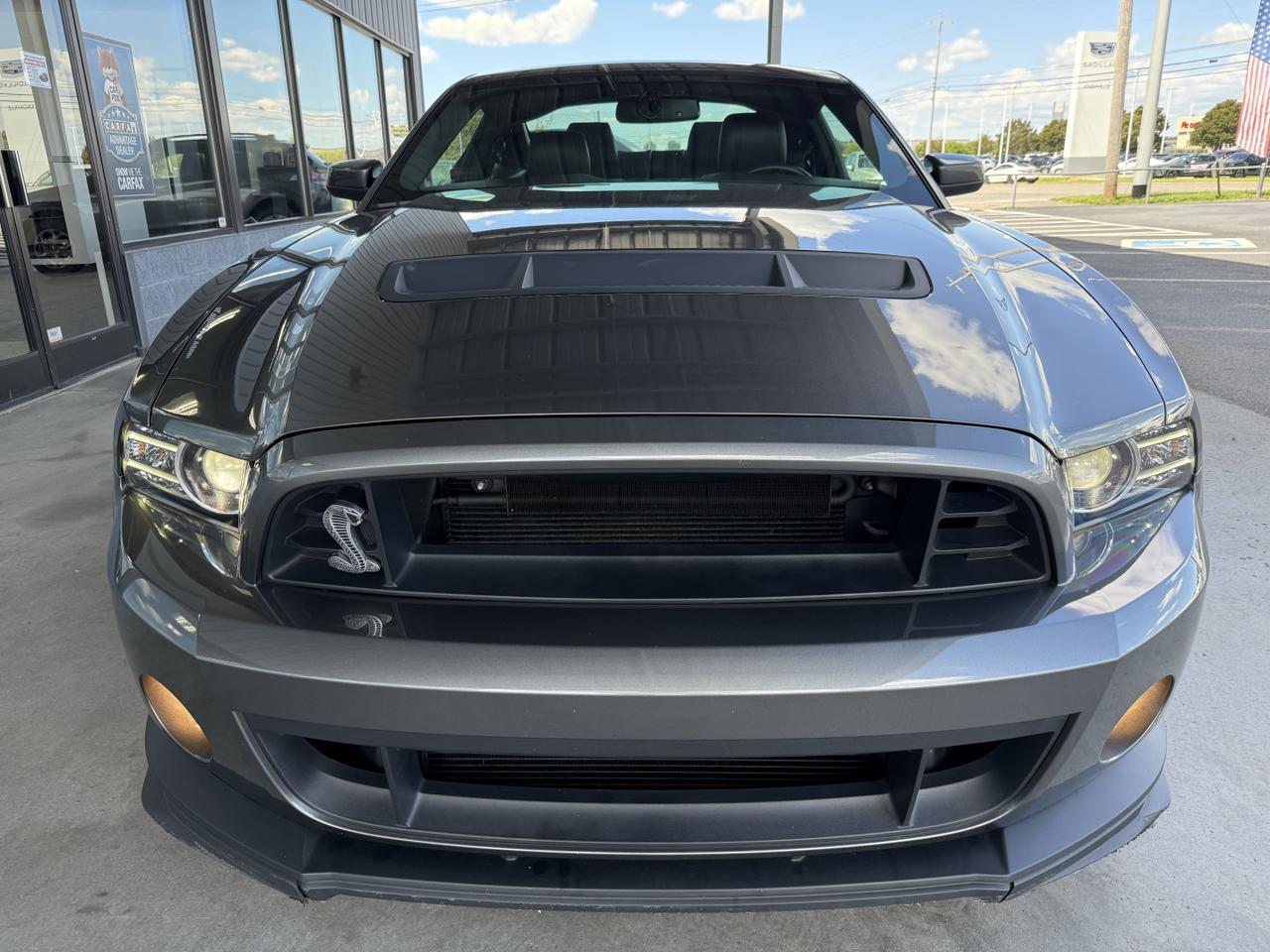 2014 Ford Mustang Shelby GT500 Knoxville TN