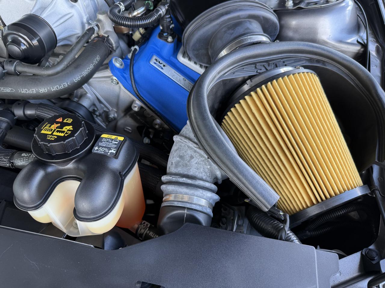 2014 Ford Mustang Shelby GT500 Knoxville TN