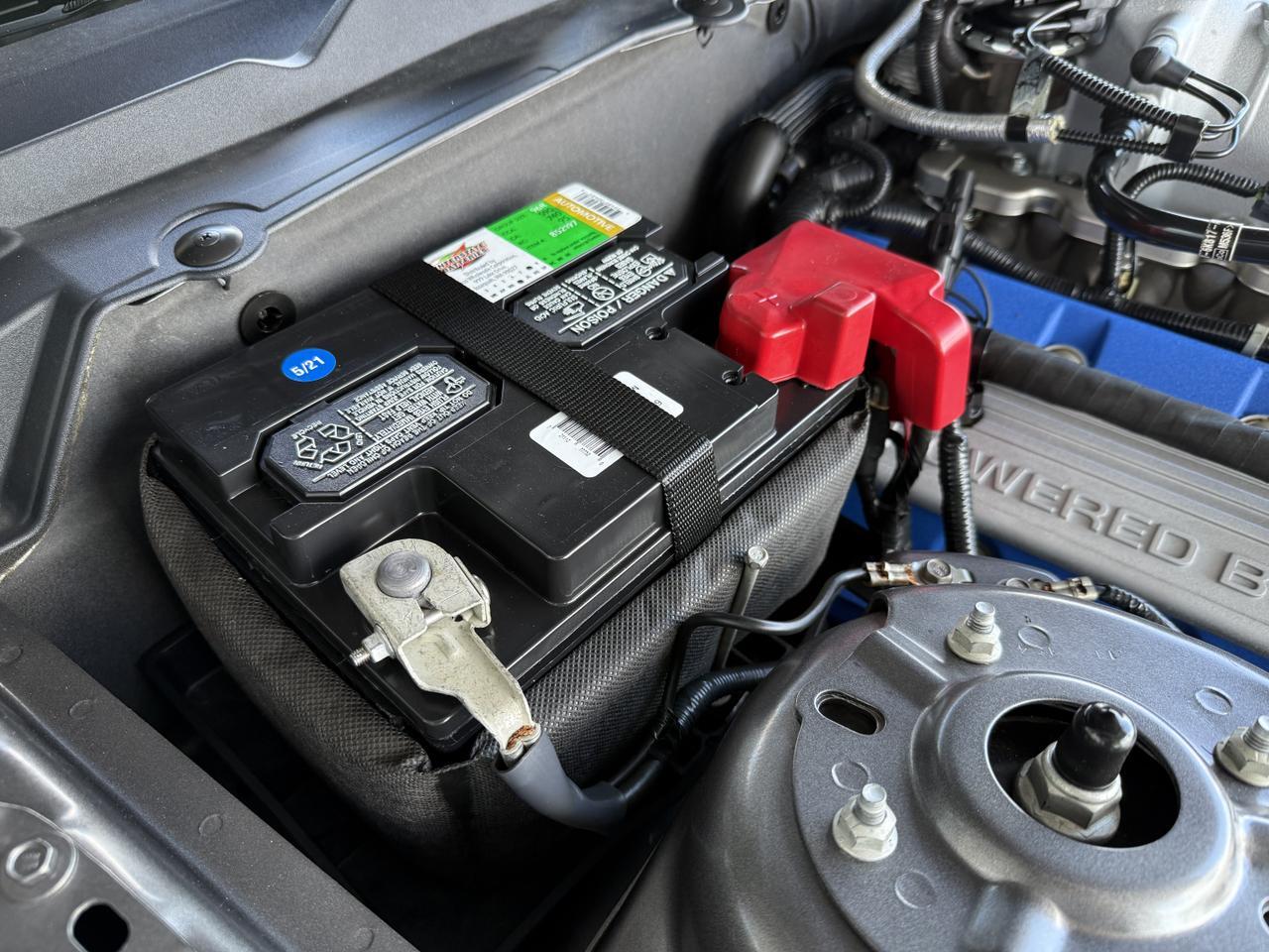 2014 Ford Mustang Shelby GT500 Knoxville TN
