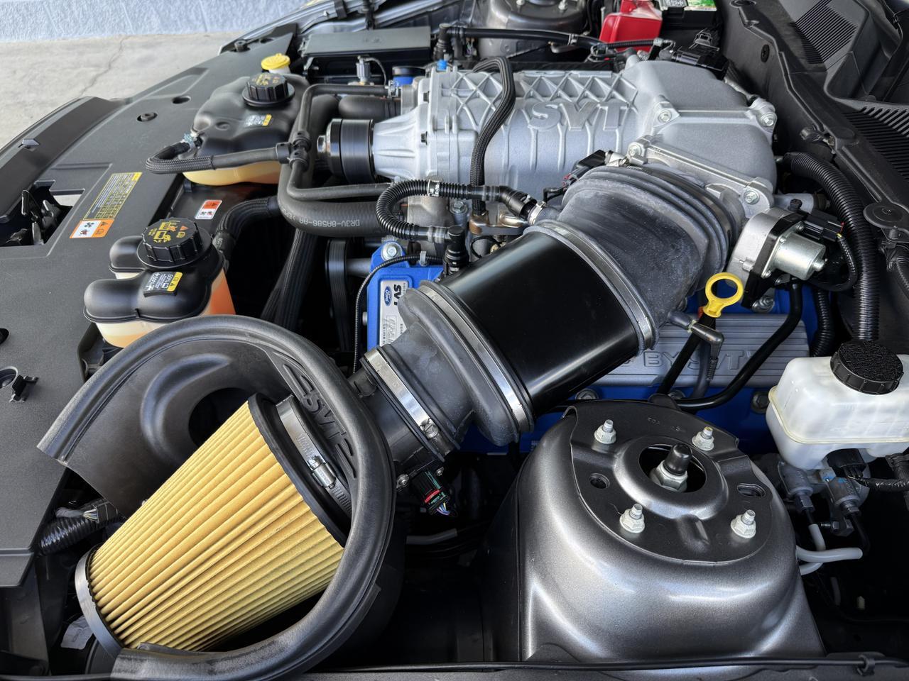 2014 Ford Mustang Shelby GT500 Knoxville TN