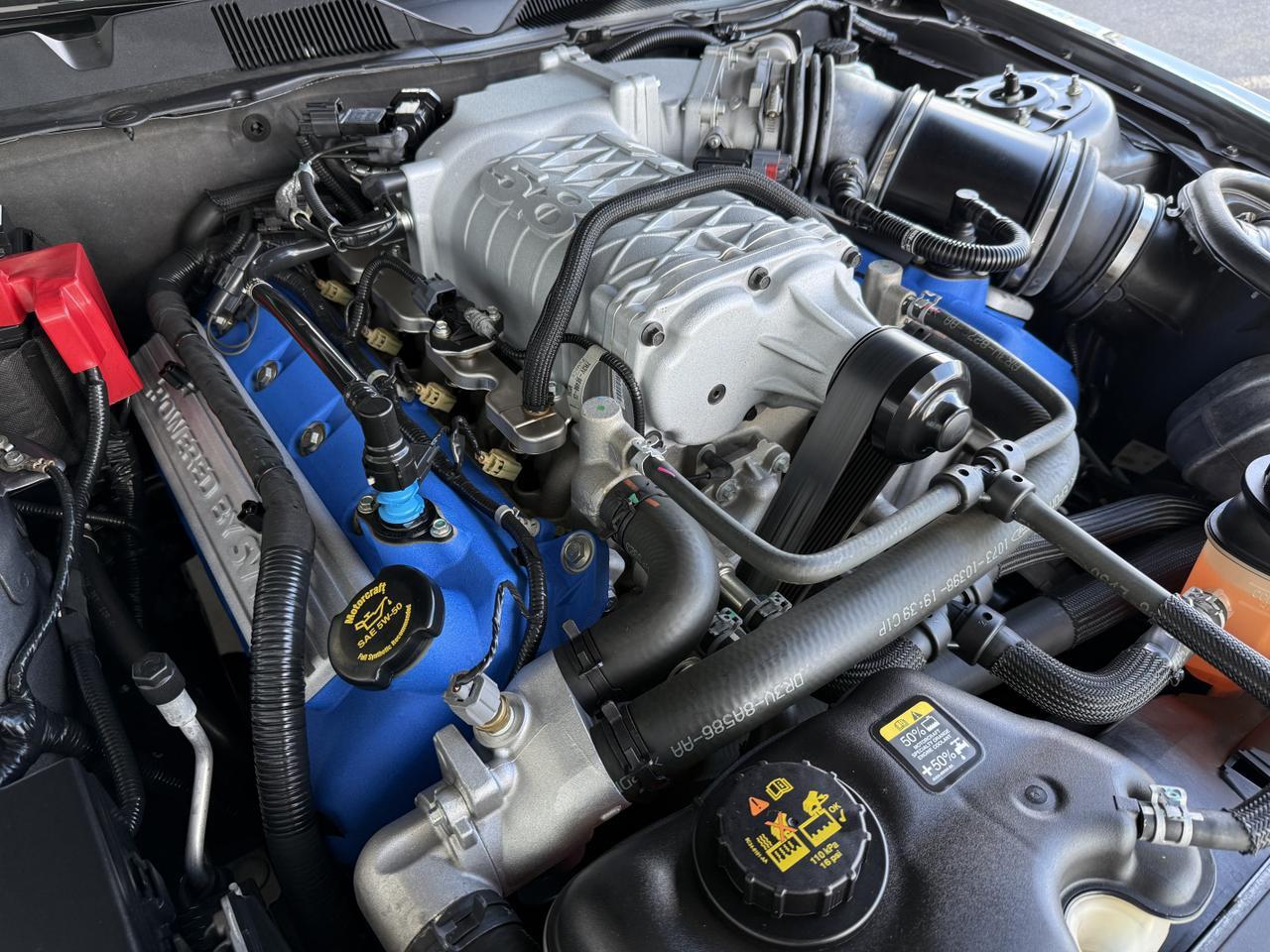 2014 Ford Mustang Shelby GT500 Knoxville TN