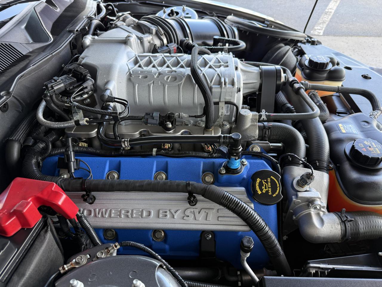 2014 Ford Mustang Shelby GT500 Knoxville TN