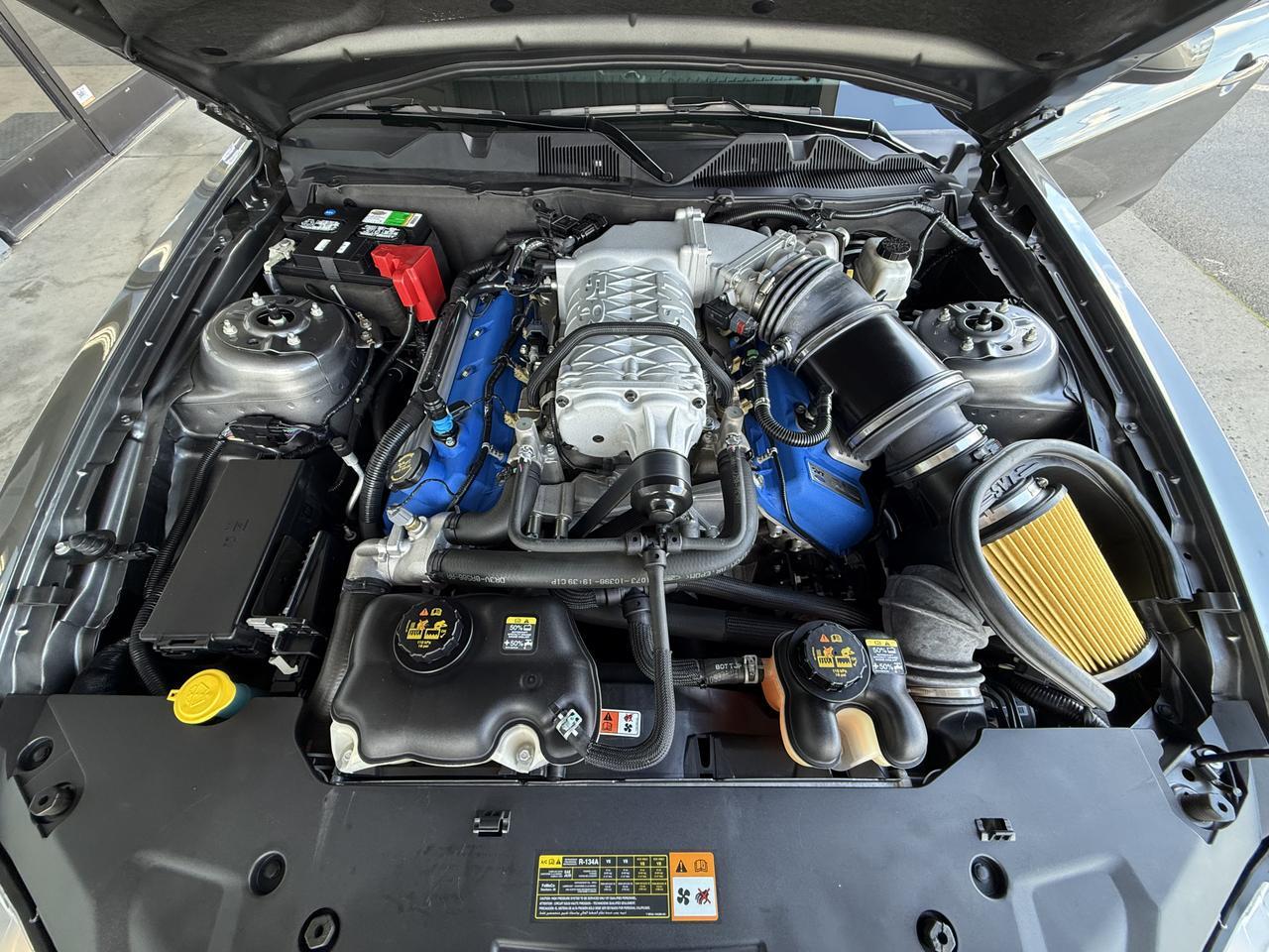 2014 Ford Mustang Shelby GT500 Knoxville TN