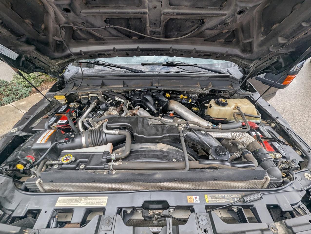 2014 Ford Super Duty F-250 SRW Platinum Grand Junction CO