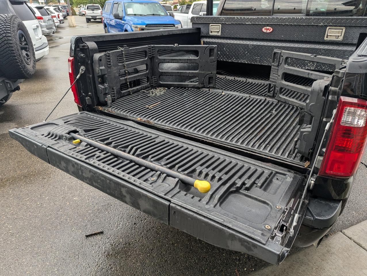 2014 Ford Super Duty F-250 SRW Platinum Grand Junction CO