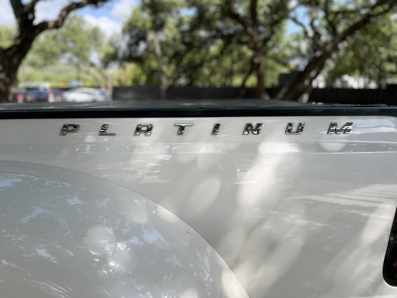 2014 Ford Super Duty F-350 DRW Platinum Spring Branch TX