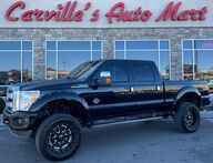 2014 Ford Super Duty F-350 SRW Platinum Grand Junction CO 2014 Ford Super Duty F-350 SRW Platinum Grand Junction CO
