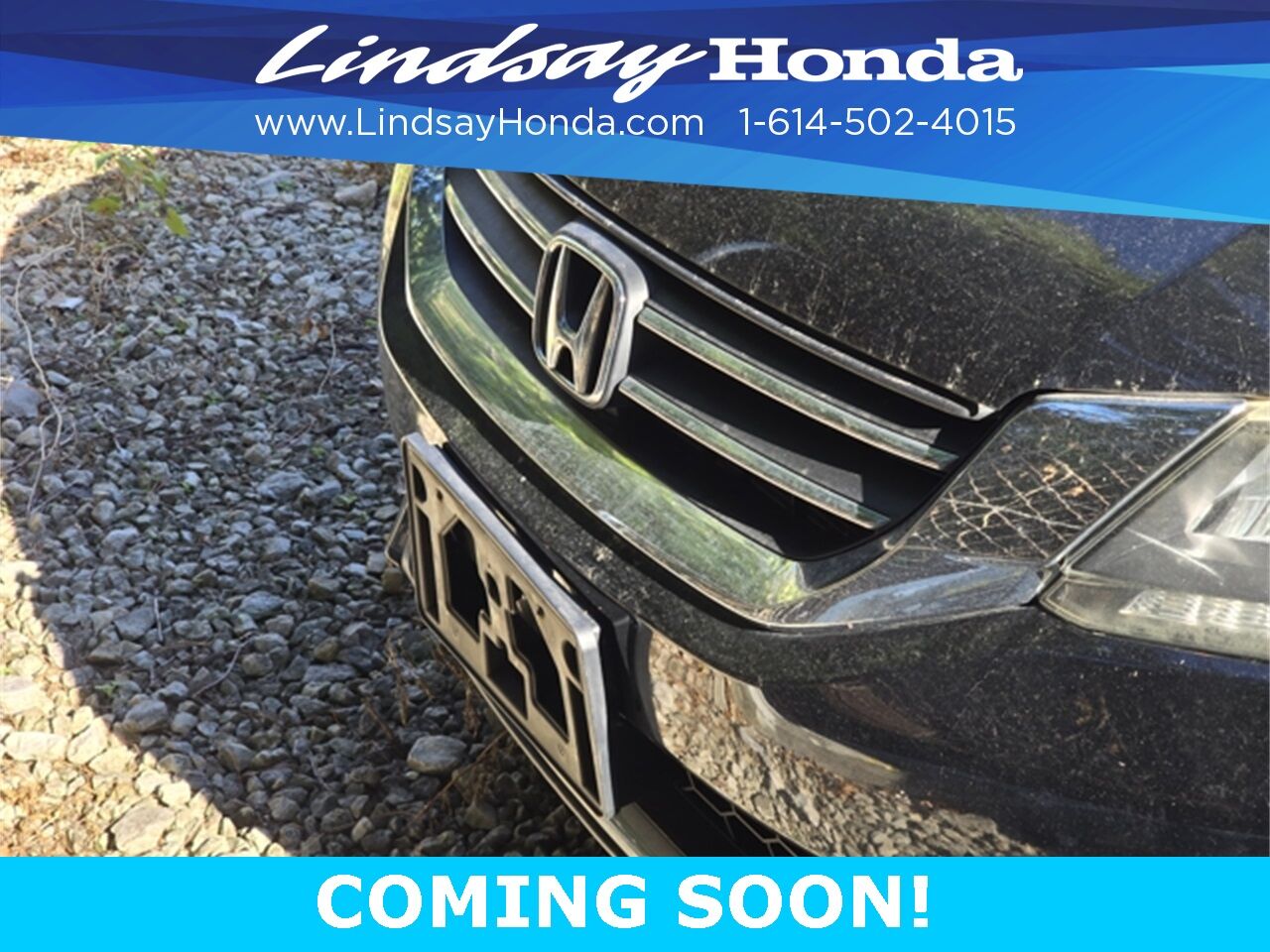 2014 Honda Accord EX-L Columbus OH