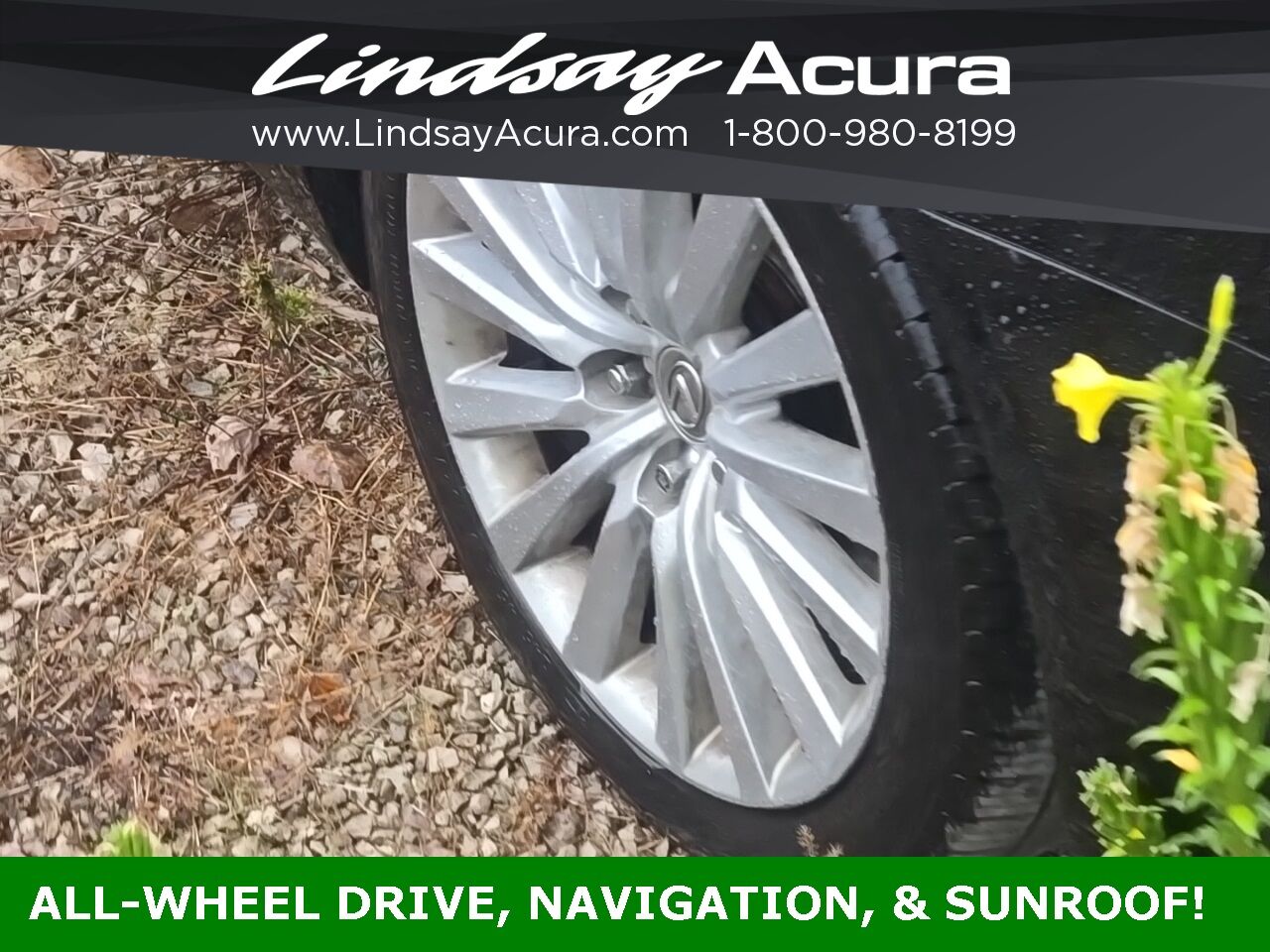 2014 Lexus LS 460 Columbus OH
