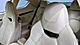 2014 Maserati GranTurismo Sport Glendale Heights IL