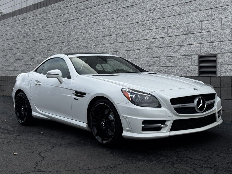 2014 Mercedes-Benz SLK-Class SLK 350 Willow Grove PA