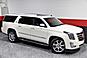 2015 Cadillac Escalade ESV Luxury 4WD 4dr SUV Chicago IL