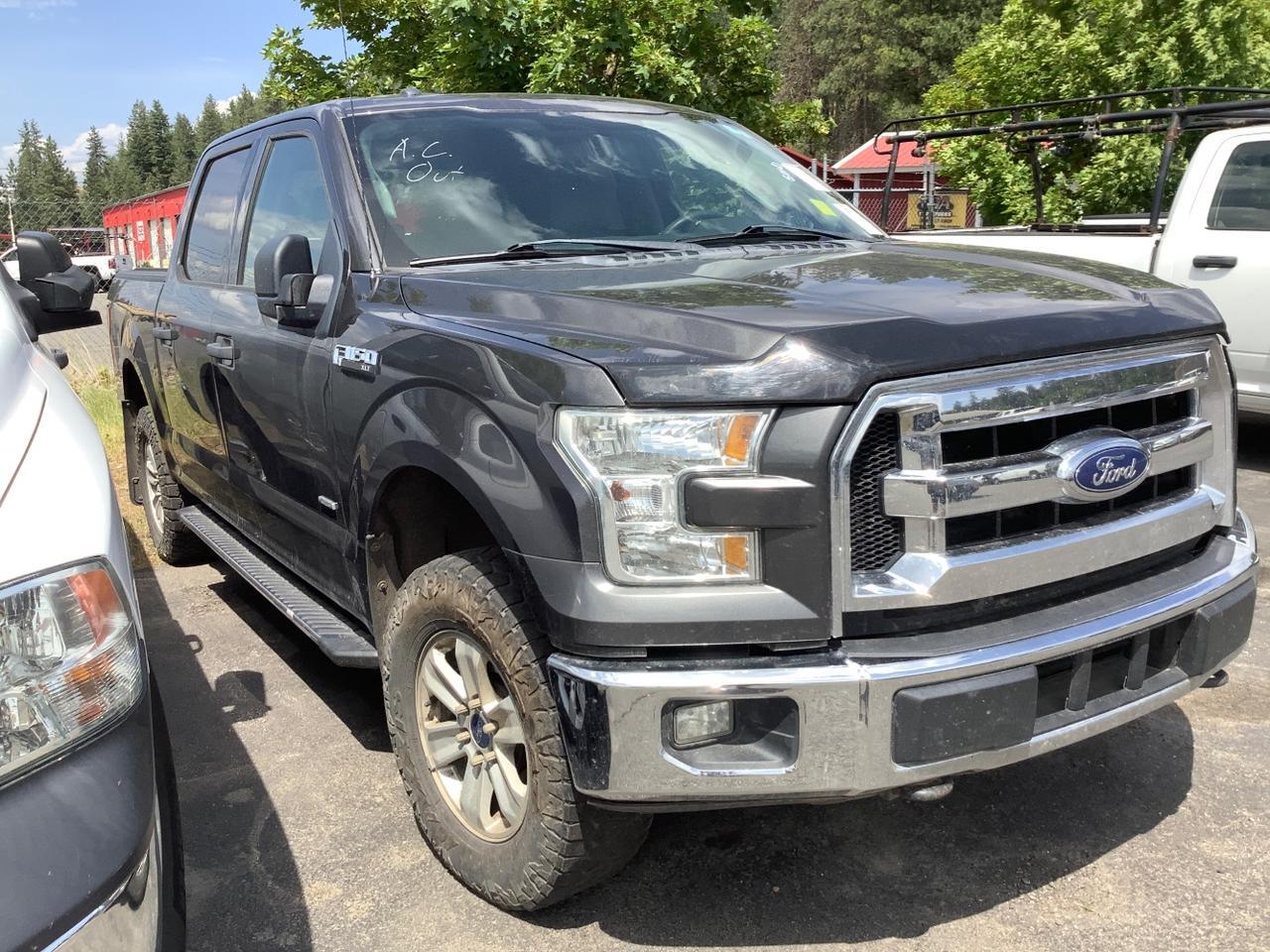 2015 FORD F150 XLT Hayden ID