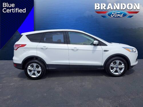 2015 Ford Escape SE Tampa FL 2015 Ford Escape SE Tampa FL