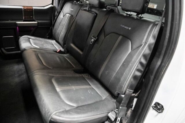 2015 Ford F-150 Platinum 4x4 4dr Pickup Chicago IL