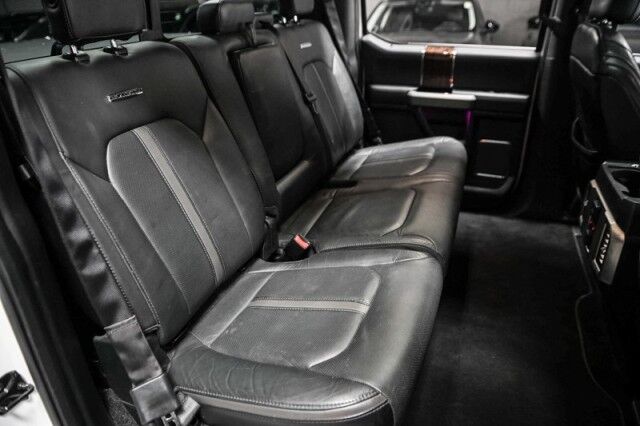 2015 Ford F-150 Platinum 4x4 4dr Pickup Chicago IL