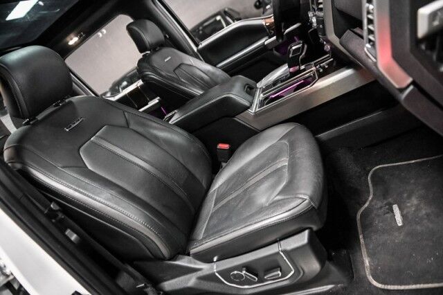 2015 Ford F-150 Platinum 4x4 4dr Pickup Chicago IL