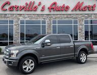 2015 Ford F-150 Platinum Grand Junction CO 2015 Ford F-150 Platinum Grand Junction CO