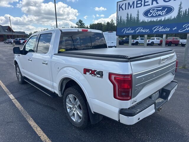 2015 Ford F-150 Platinum Pine River MN